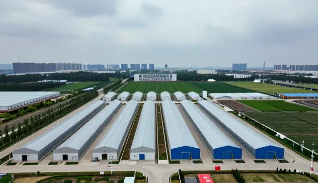 吊装设备选型中的工程安全关键考量